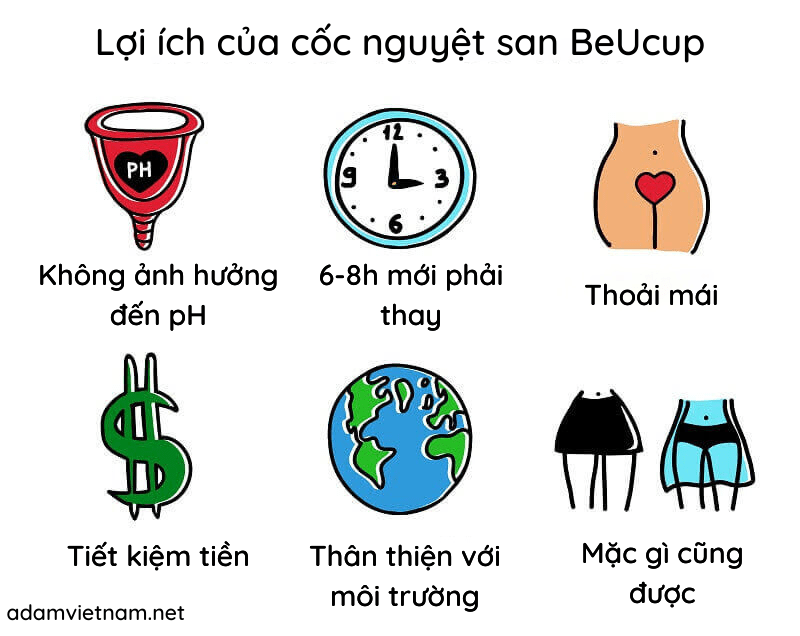 tác dụng của cốc nguyệt san beucup