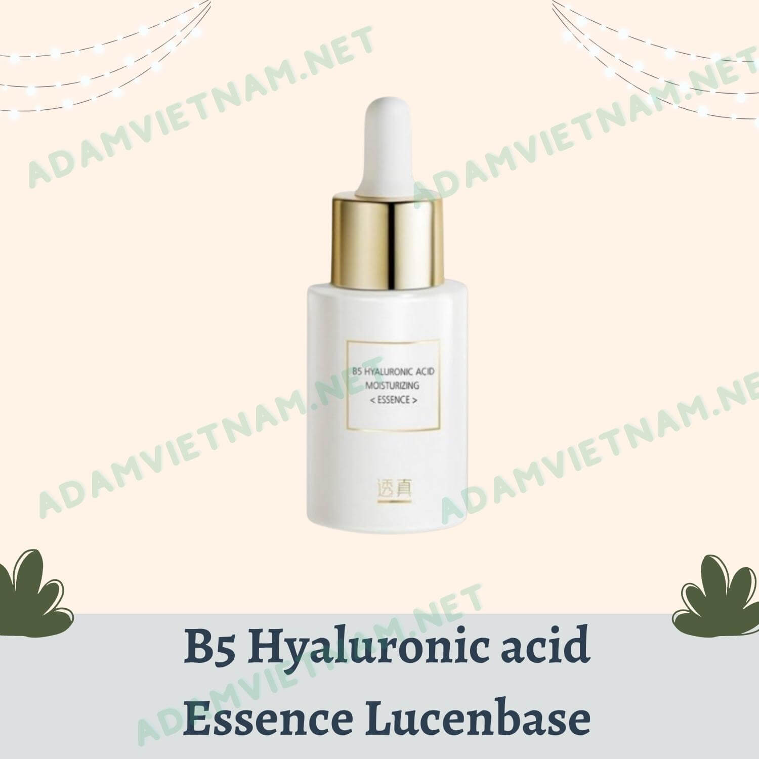 B5 Hyaluronic acid Essence Lucenbase