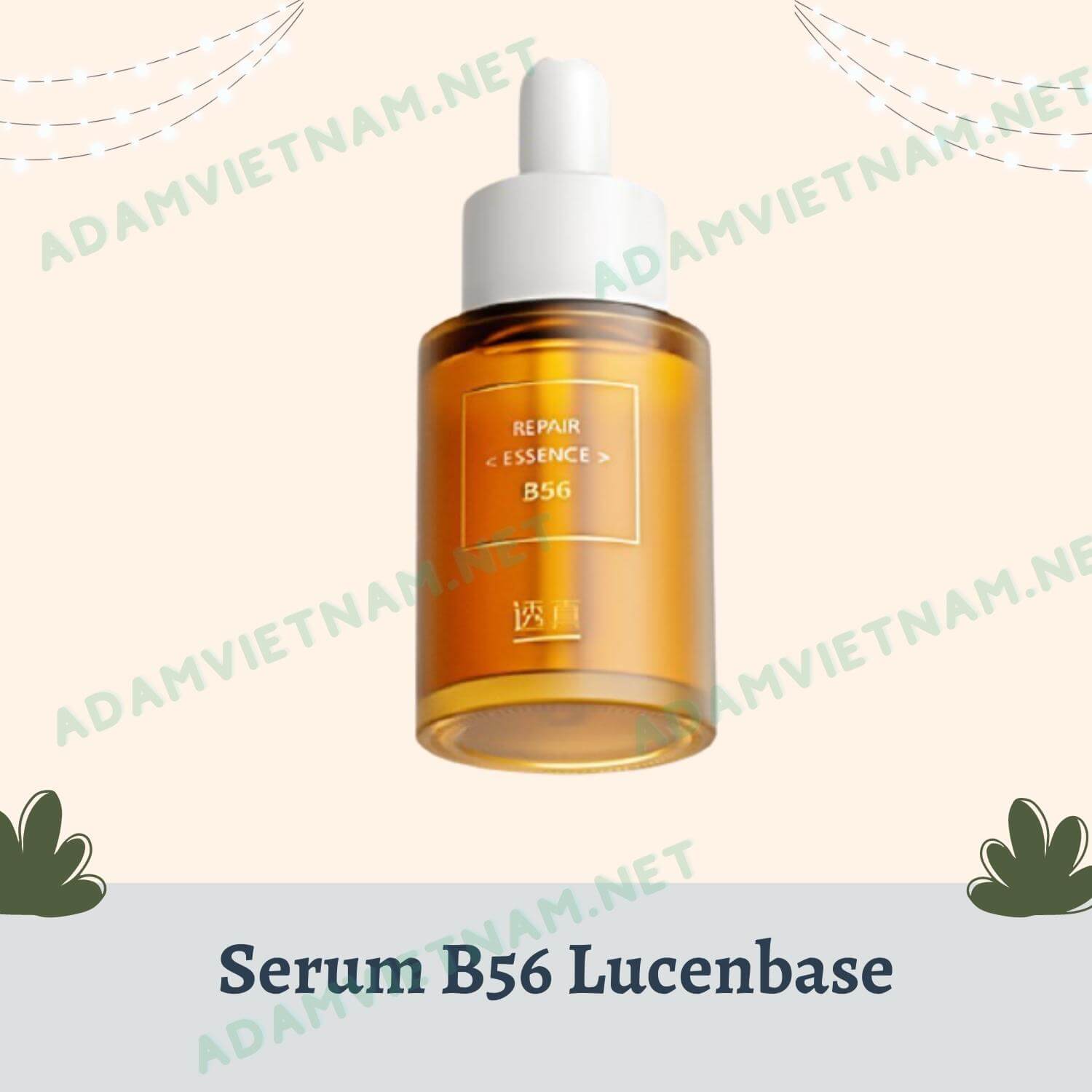 Serum B56 Lucenbase