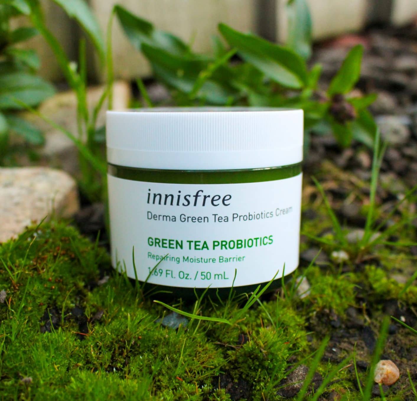 Kem dưỡng ẩm Innisfree Derma Green Tea Probiotics Cream