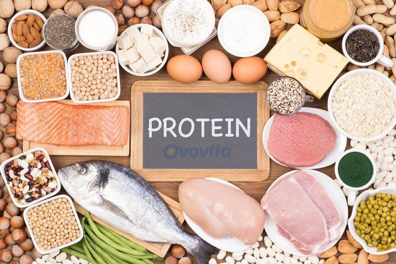 Nhóm dinh dưỡng dành cho bà bầu gồm protein